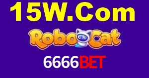 Crash Games Statistics 6666bet